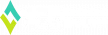 spinplatinum logo