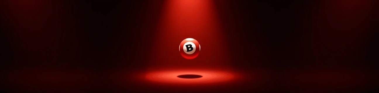 Online bingo toimimine
